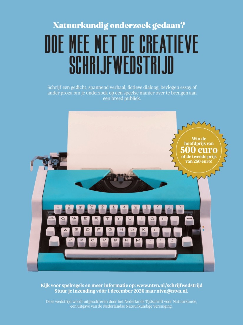 Advertentie Creatieve schrijfwedstrijd 2026-2027